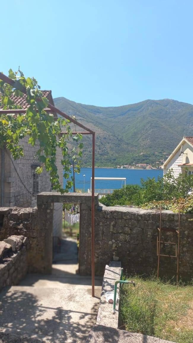Apartments Vukasovic Kotor Kültér fotó