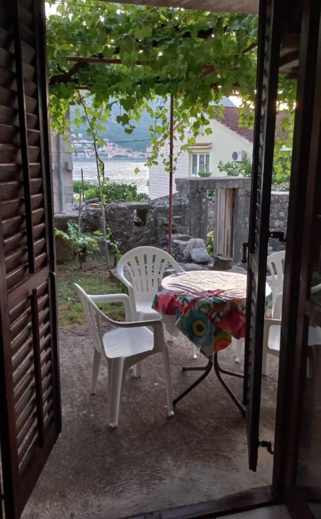 Apartments Vukasovic Kotor Kültér fotó