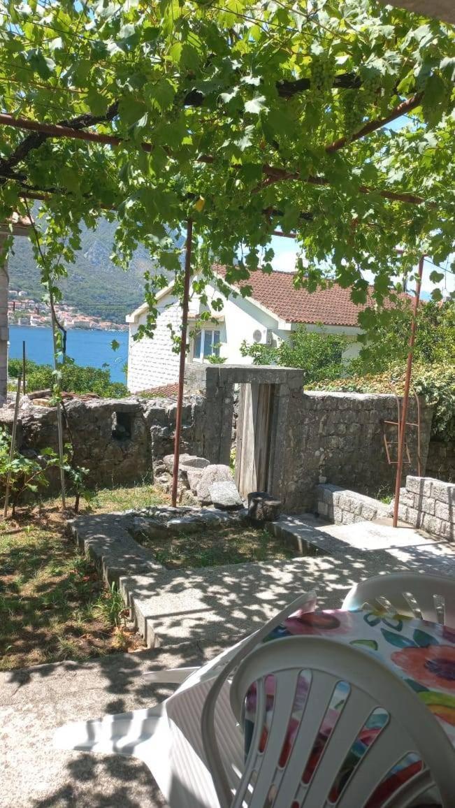 Apartments Vukasovic Kotor Kültér fotó
